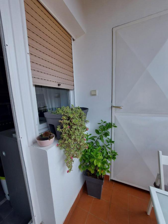 Center Danube Street Apartment Novi Sad Exteriör bild