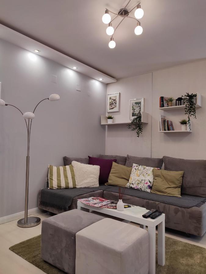 Center Danube Street Apartment Novi Sad Exteriör bild