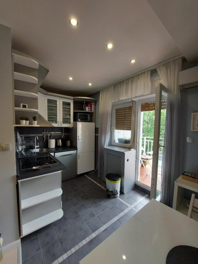 Center Danube Street Apartment Novi Sad Exteriör bild